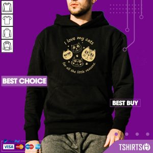I Love My Cat For All The Little Reasons Hoodie
