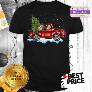 Funny Pitbull Dog Pickup Truck Christmas Shirt