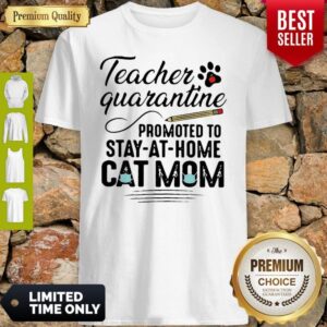 Teacher Quarantine Promoted To Stay At Home Cat Mom Shirt