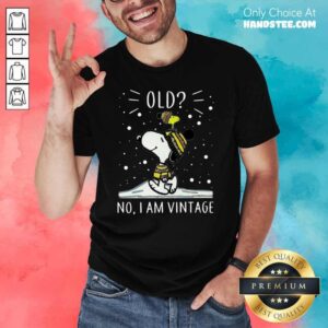 Pretty Snoopy And Woodstock Vintage 56 Shirt