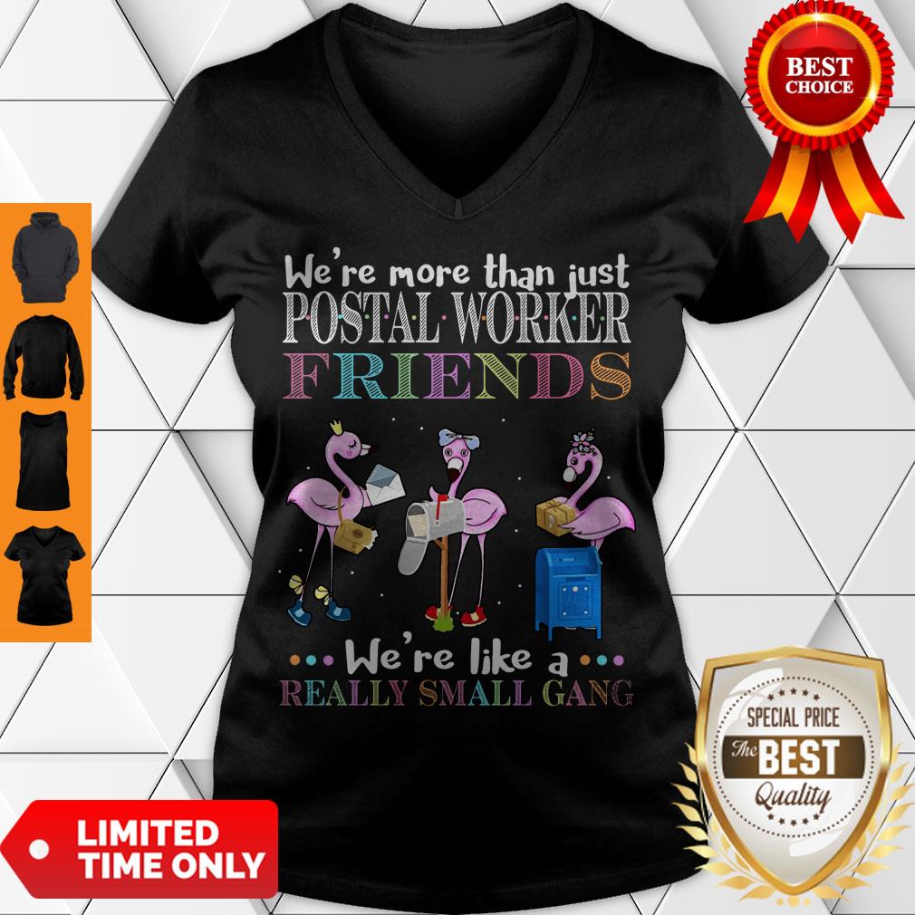 official-flamingos-were-more-than-just-postal-worker-friends-were-like-a-really-small-gang-v-neck