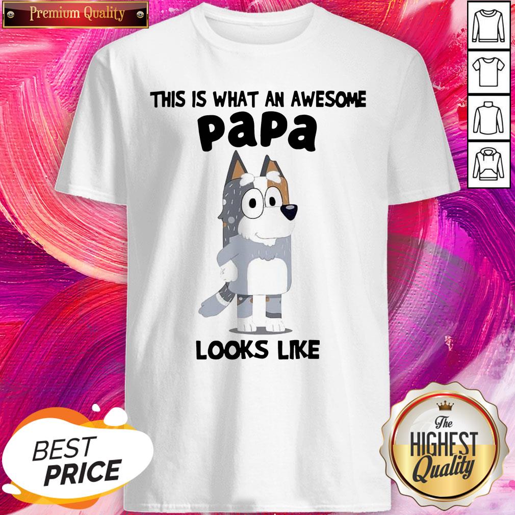 Official This Is What An Awesome Papa Bandit Heeler Looks Like Shirt