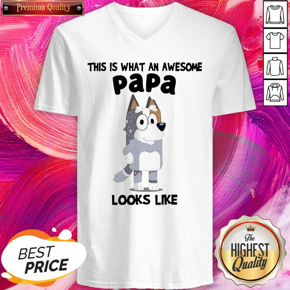 Official This Is What An Awesome Papa Bandit Heeler Looks Like Shirt