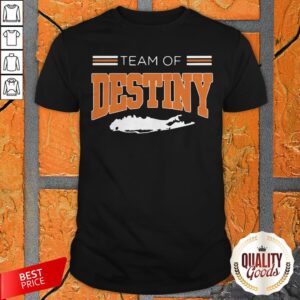 Wonderful I Like Team Of Destiny Shirt