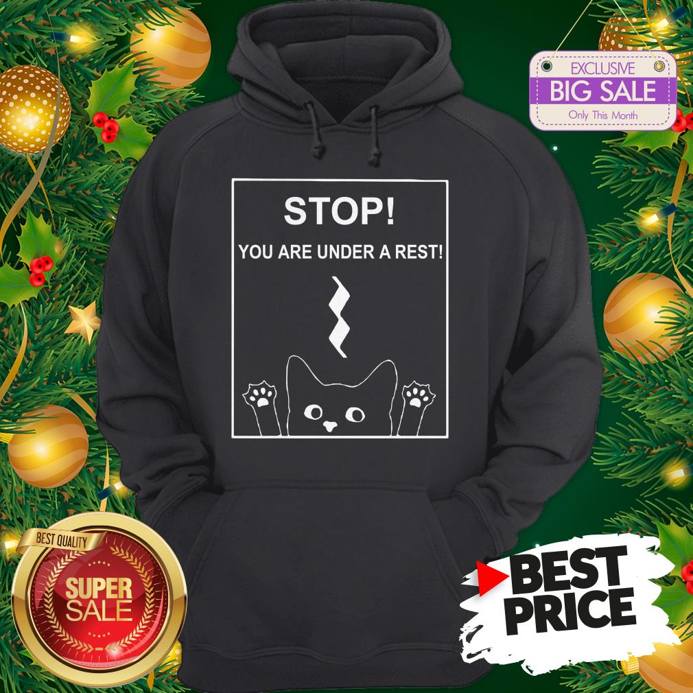 Stop You Are Under A Rest Funny Symbol Music Notes Musician Shirt
