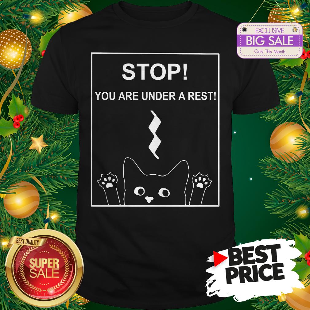 Stop You Are Under A Rest Funny Symbol Music Notes Musician Shirt