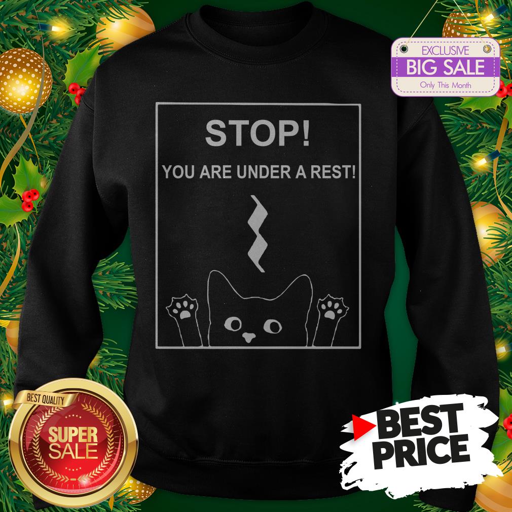 Stop You Are Under A Rest Funny Symbol Music Notes Musician Shirt