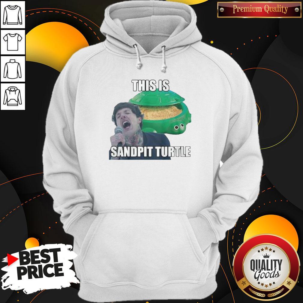 This Is Sandpit Turtle Shirt