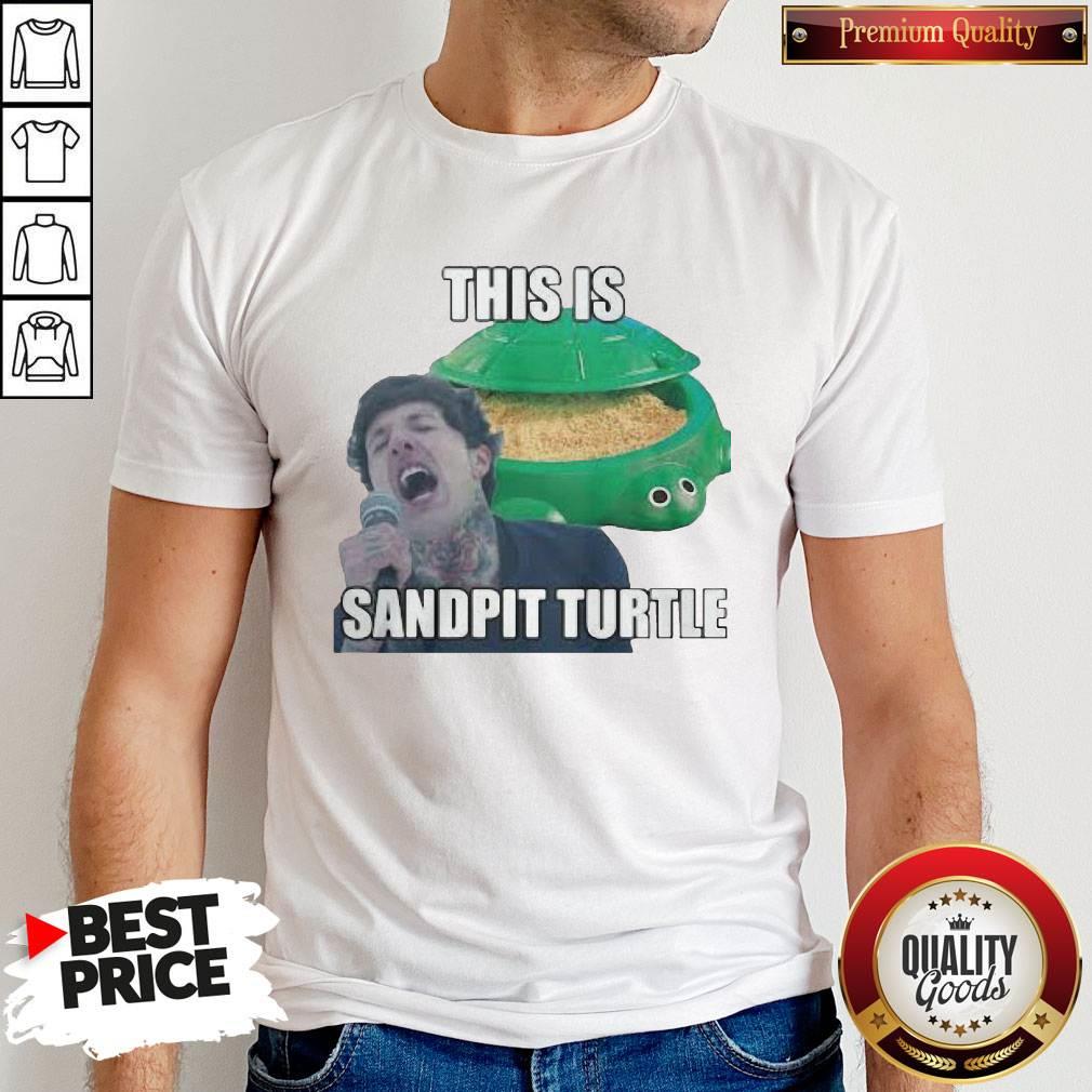 This Is Sandpit Turtle Shirt