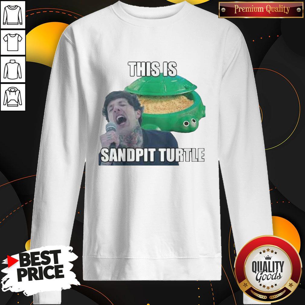 This Is Sandpit Turtle Shirt