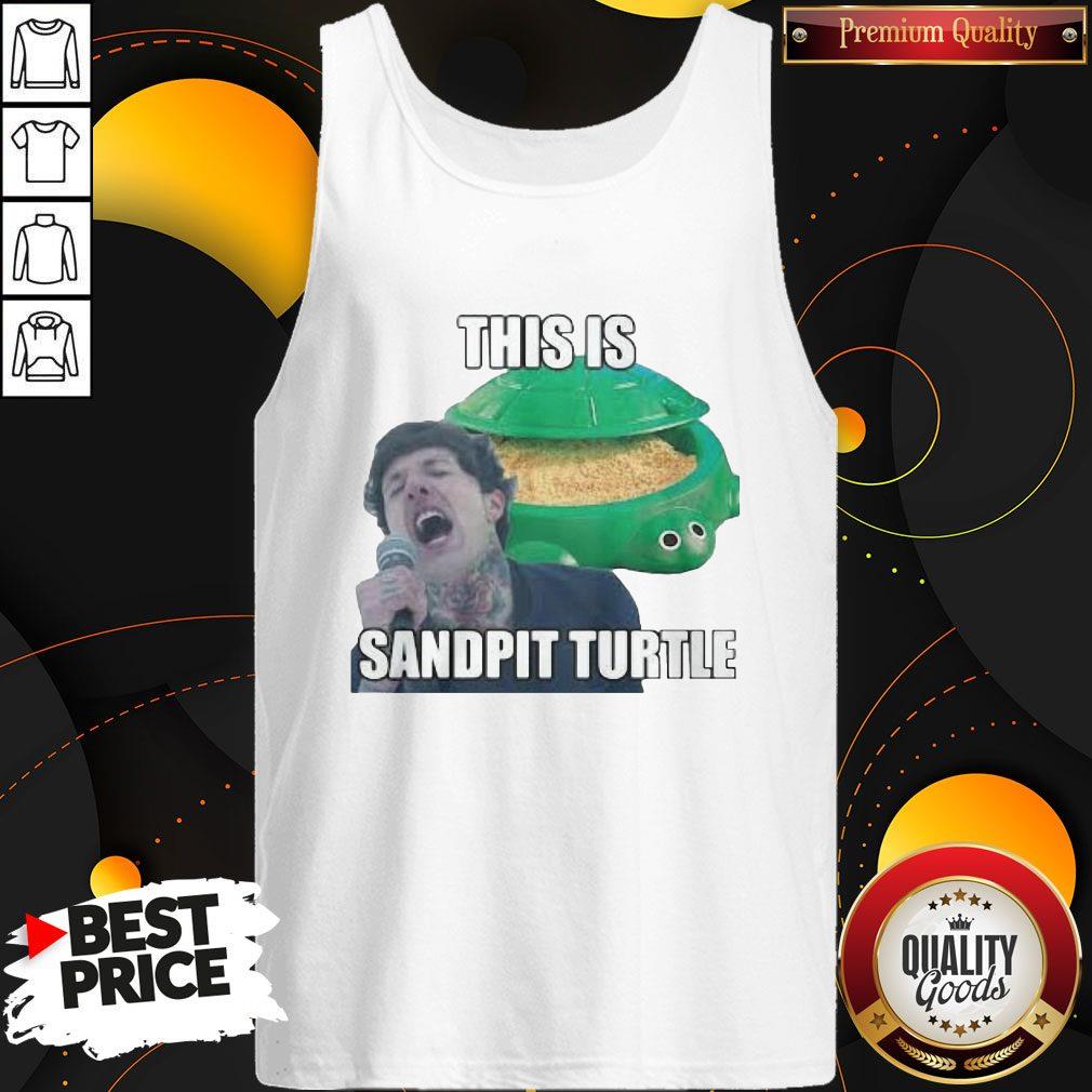 This Is Sandpit Turtle Shirt