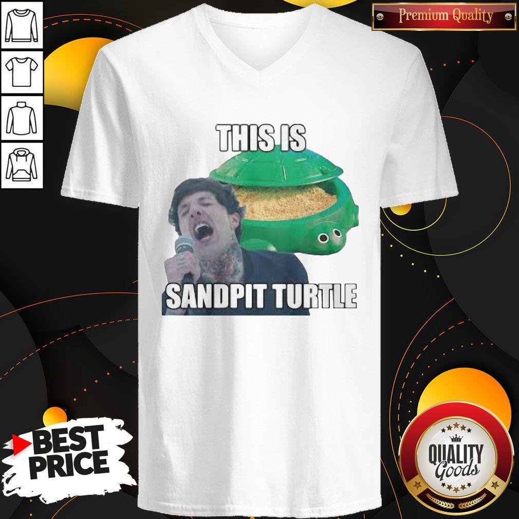 This Is Sandpit Turtle Shirt