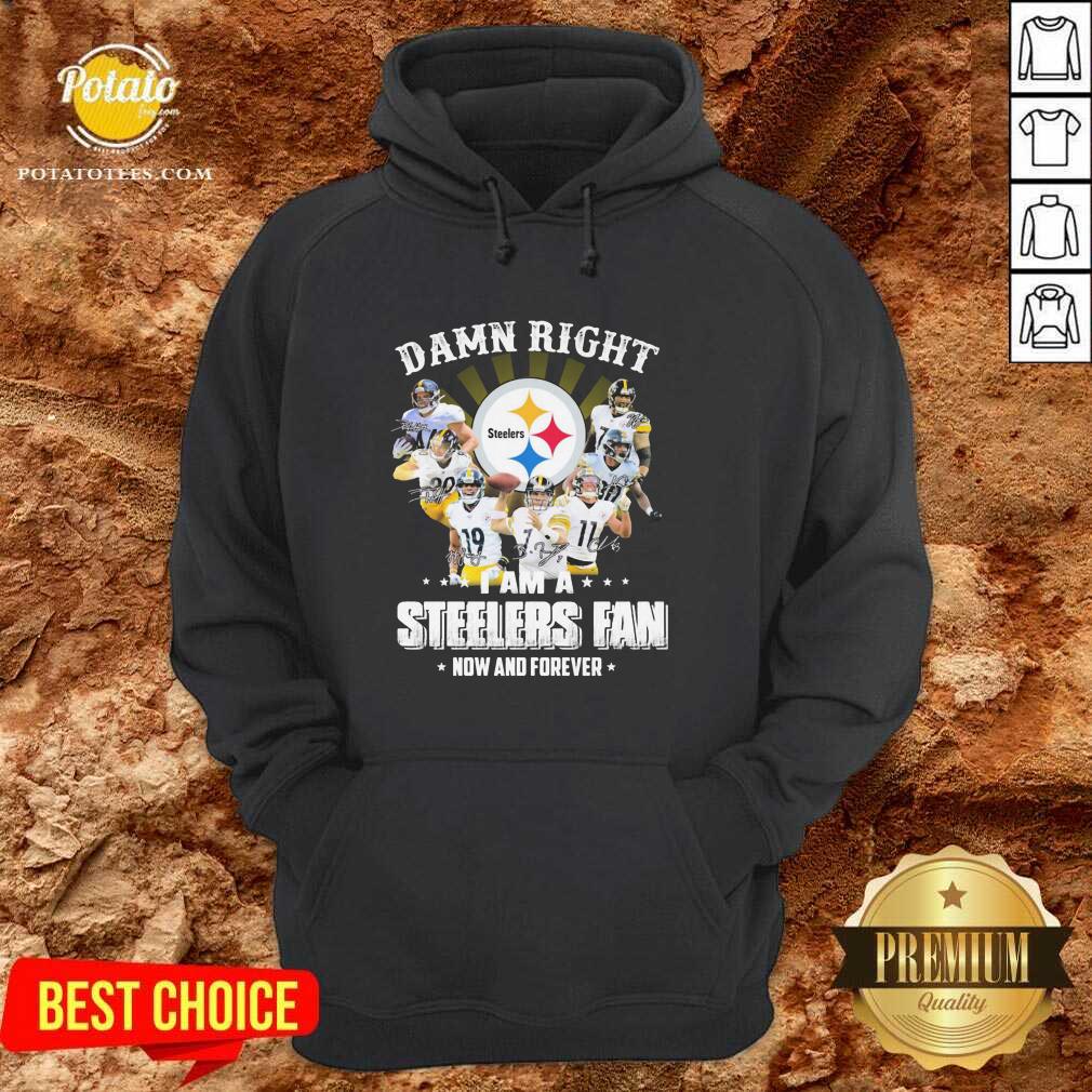 top-so-damn-right-i-am-a-pittsburgh-steelers-fan-now-and-forever-signature-hoodie.jpg