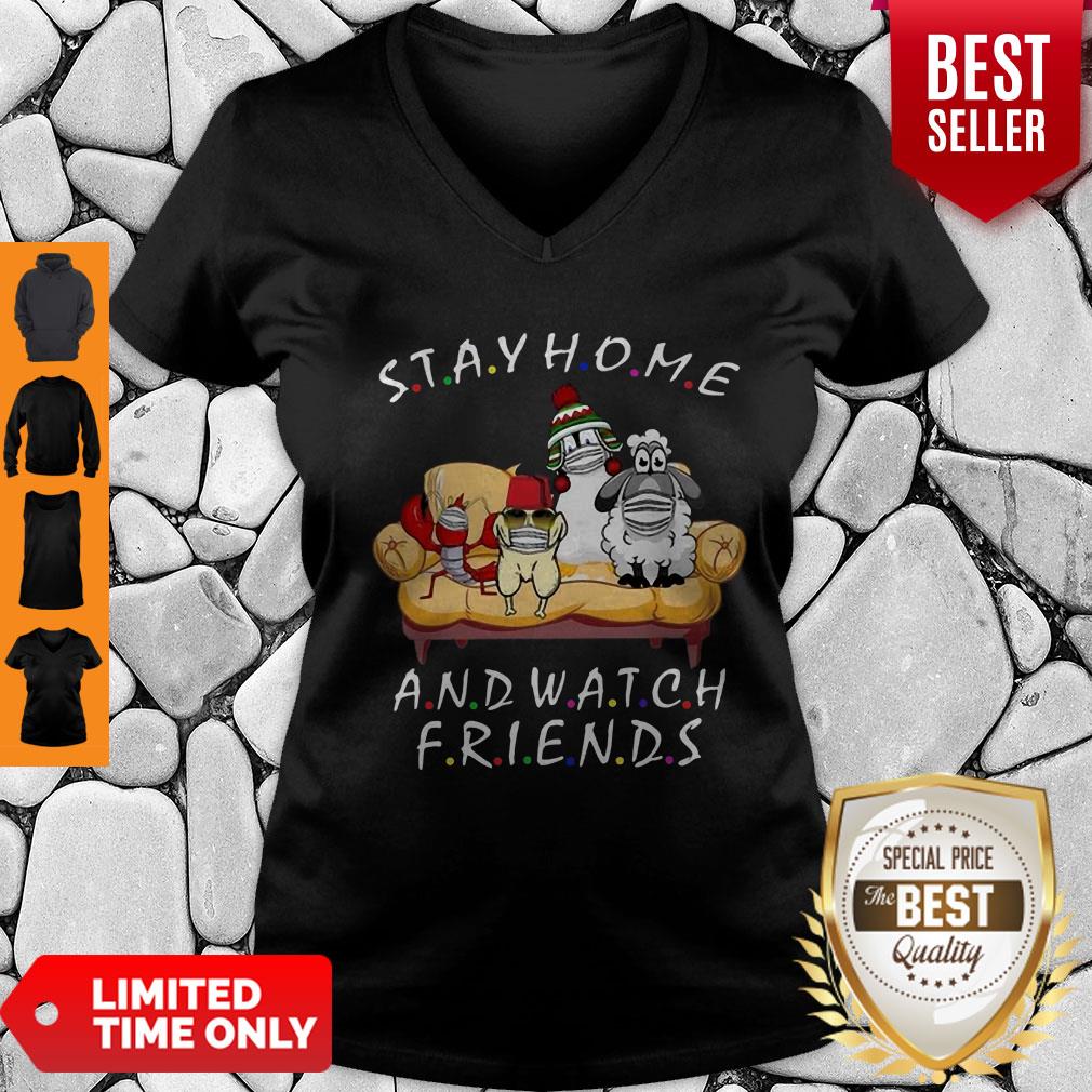 Pets Stay Home And Watch Friends Cartoon COVID-19 Shirt