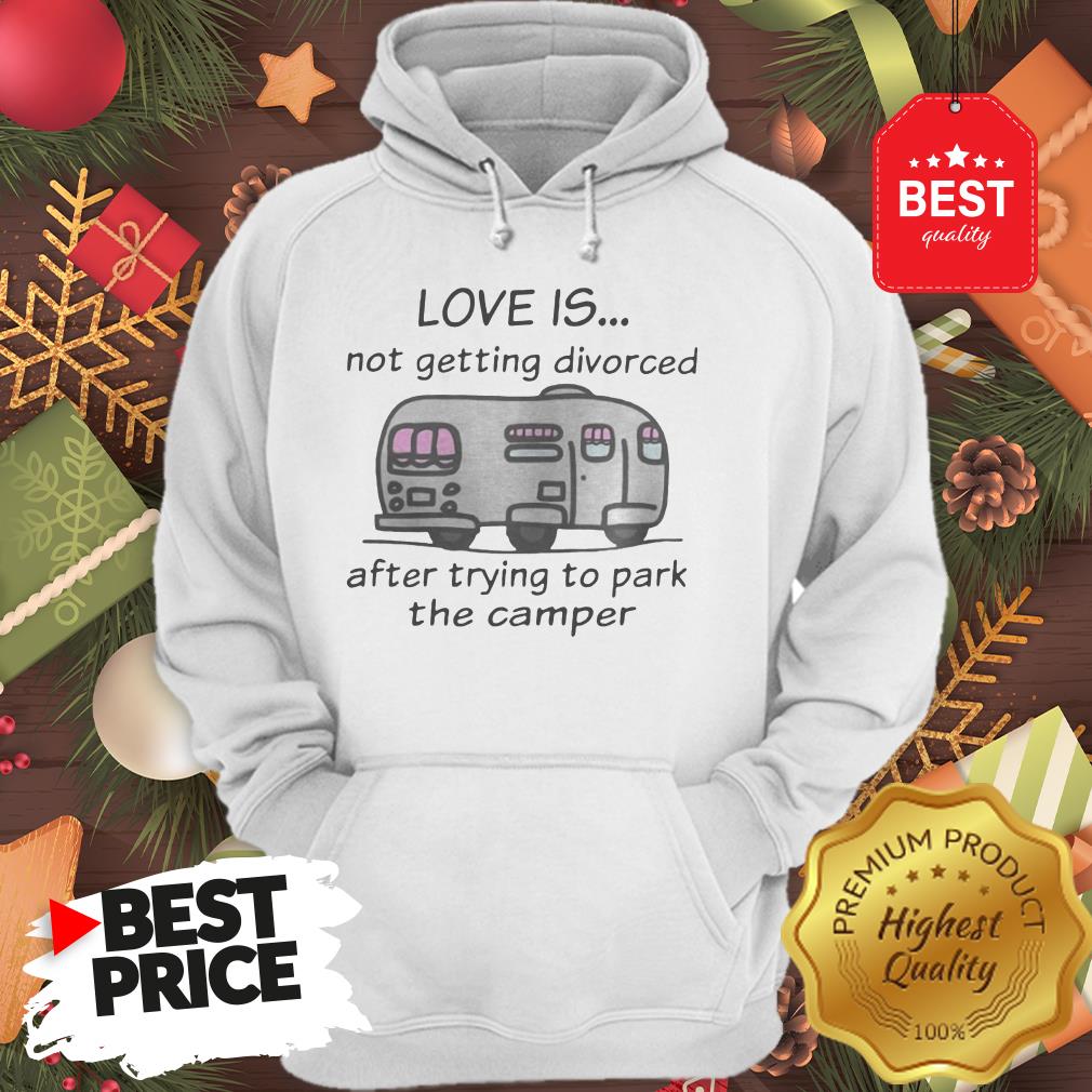 funny-love-is-not-getting-divorced-after-trying-to-park-the-camper-version-hoodie