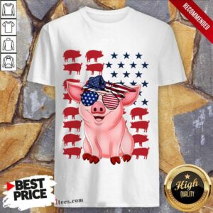 Pig American Flag Independence Day Shirt