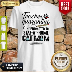 Teacher Quarantine Promoted To Stay At Home Cat Mom Shirt