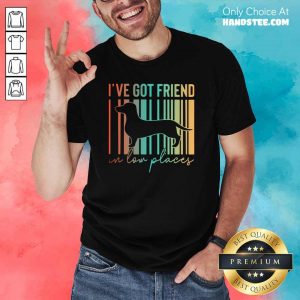 Good 14 Dachshund Ive Got Friend Shirt