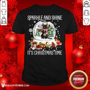 Cool Cat Sparkle And Shine It’s Christmas Time Shirt