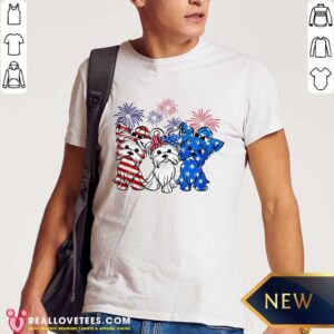 Pomeranian Dog USA Flag 4th Of July Shirt