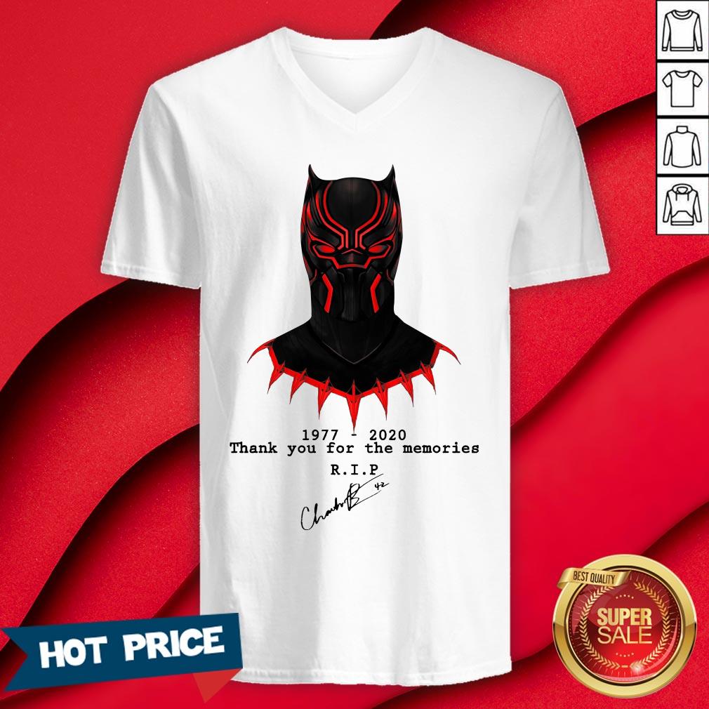 The Superhero Black Panther In The Marvel Cinematic Universe Rip Shirt