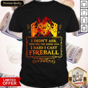 Dungeons I Didn’t Ask How Big The Room Was I Said I Cast Fireball Shirt