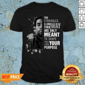 Chadwick Boseman The Struggles Along The Way Are Only Meant To Shape You For Your Purpose Shirt