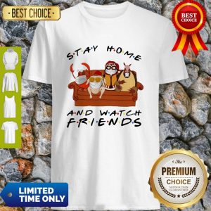 Official Stay Home Watch Friends Hugsy Shirt