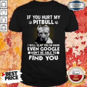 If You Hurt My Pitbull I Will Slap You So Hard Even Google Won’t Be Able To Find You Shirt