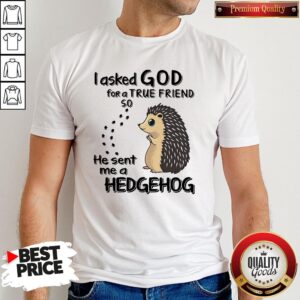 I Asked God For A True Friend So He Sent Me A Hedgehog Shirt