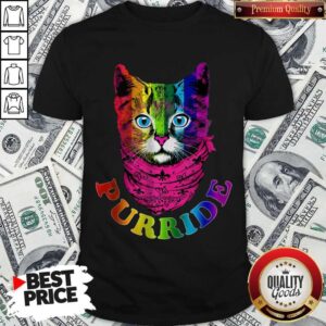 Colorful Pride Cat Gay Pride Shirt