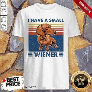Dachshund I Have A Small Wiener Vintage Shirt