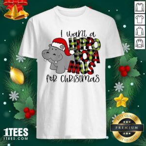 Lovely I Want A Hippopotamus For Christmas Shirt