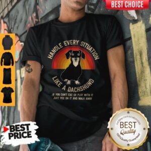 Awesome Pitbull Dog Handle Every Situation Like A Dachshund Shirt