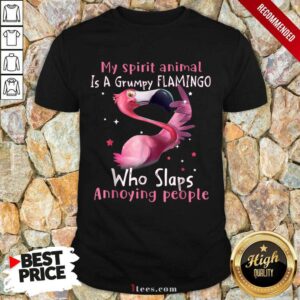 Delighted Spirit Animal A Grumpy Flamingo Shirt
