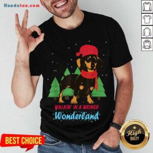 Pretty Walking In A Weiner Wonderland Dachshund Christmas Snow Shirt