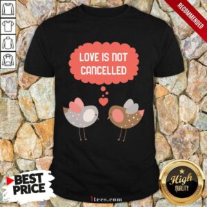 Better Love Is Not Cancelled Graphic Shirt