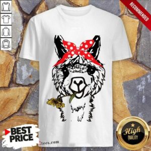 Funny Alpaca 47 Shirt