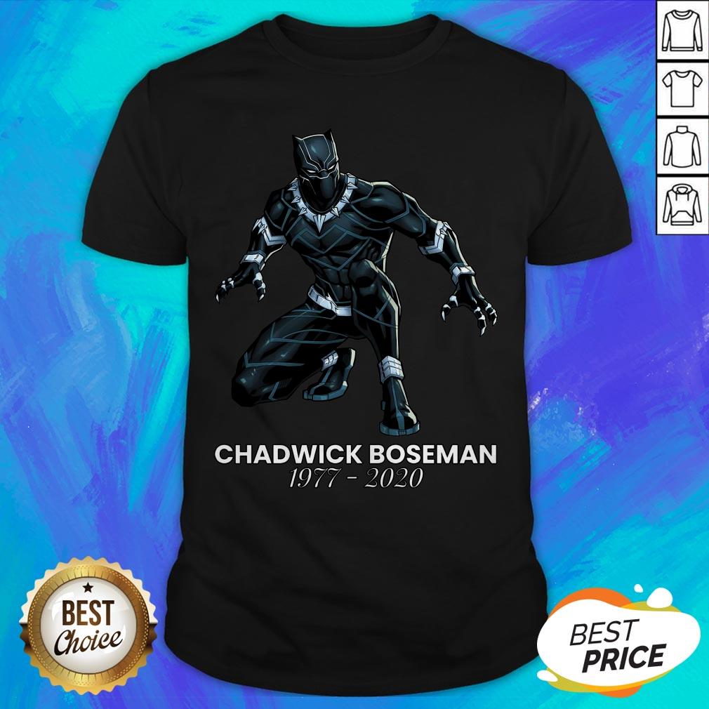 The Superhero Black Panther In The Marvel Cinematic Universe Rip Shirt