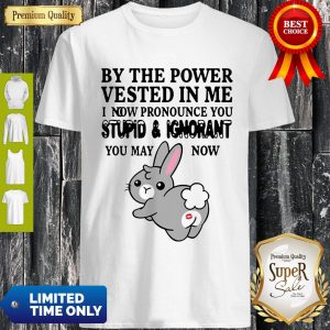 By The Power Vested In Me I Now Pronounce You Stupid And Ignorant Shirts