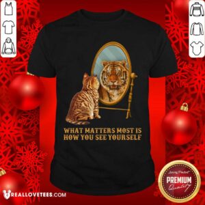 Cat And Tiger What Matters How You See Yourself Shirt