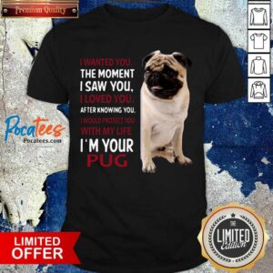 Nice I Wanted You The Moment I Saw You I Loved You After Knowing You I’m Your Pug Shirt