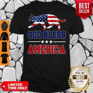 Cute Cat God Bless America Flag Shirt
