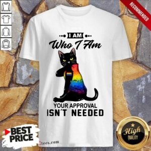 Who I Am Isn't needed Black Cat LGBT Shirt