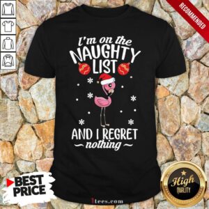 Top Santa Flamingo I’m On The Naughty List And I Regret Nothing Christmas Shirt