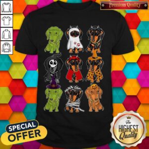Pretty Daschund Haloween Chacracters Shirt