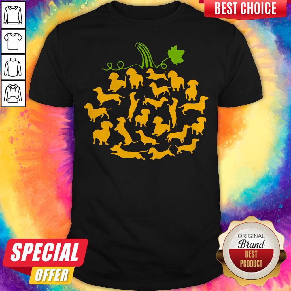 Funny Dachshund Pumpkin Halloween Shirt