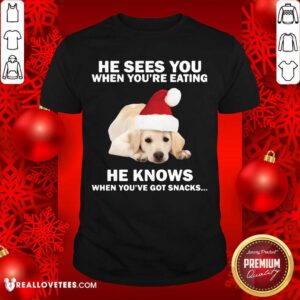Cute Labrador He Sees You When You're Eating He Knows When You've Got Snacks Christmas Shirt