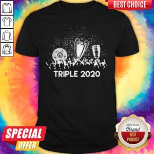 Funny I Would Like Triple 2020 Shirt