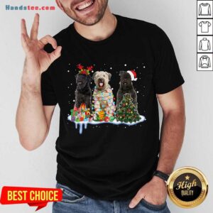 Official Bouvier Des Flandres Christmas Shirt